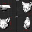 1-6.jpg Mystic Cat