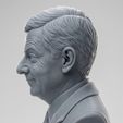 3eb47fa4-985c-4e3c-a273-d9b219a9628c.jpg Mr. Bean 3D Printable Bust