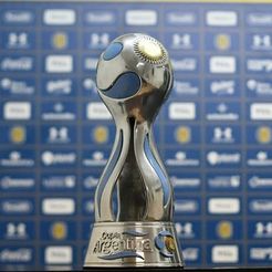 IMG-20190118-WA0006.jpg ARGENTINA CUP 3D