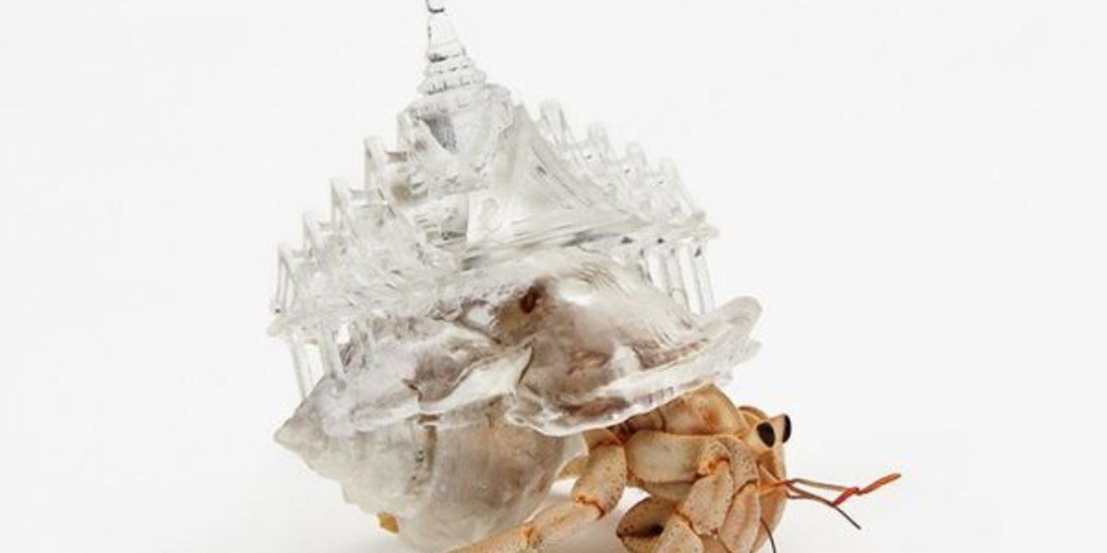  coquille bernard-l'hermite imprimé en 3D