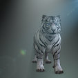 0_00001.png TIGER TIGER - DOWNLOAD TIGER 3d model - animated for blender-fbx-unity-maya-unreal-c4d-3ds max - 3D printing TIGER TIGER - CAT - FELINE - MONSTER - RAPTOR PREDATOR