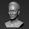 2.jpg Meryl Streep bust ready for full color 3D printing