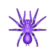 tarantula.obj 🕷️ Tarantula – Realistic 3D Printable Spider Model