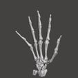 4.jpg HAND MEDICAL BONE FROM SEGMENTATION