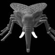 elefly2.jpg fly to elephant - aus einer Fliege, einen  Elephant gemacht...