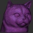 22.jpg British Shorthair cat head for 3D printing