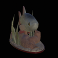 Perlin-13.png fish common rudd statue detailed texture for 3d printing
