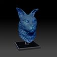 Shop9.jpg CatCoon- Mystik- Portrait- 3D- STL- Print File High-Polygon