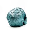 IMG_5275.jpg Skull Voronoi Low Poly