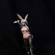 118321017_194689525344475_4324159805544477435_o.jpg Viera Rabbit - Final Fantasy