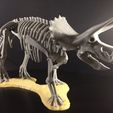32449114432_d8a6e791e9_k.jpg Triceratops prorsus Skeleton