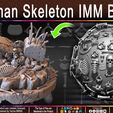 Human-Skeleton-IMM-Brushes-Sculpted-By-Yacine-BRINIS-Set-026.jpg Human Skeleton IMM Brushes
