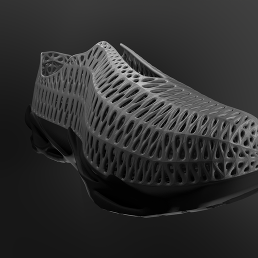2,png.png Zapatos ION Fuego Voronoi