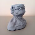 Creature_Bust_03_Print_01.jpg Creature Bust 03