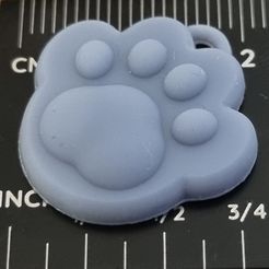 20220416_001049.jpg Descargar archivo STL Colgante / llavero con forma de pata de gato / perro v2 • Modelo para la impresión en 3D, rossben