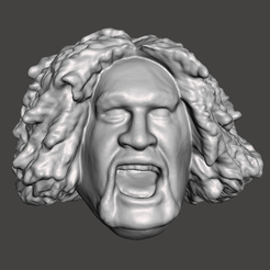 Screenshot-1524.png Файл STL WWE WWF LJN стиль дикий самоа Сика скульптура головы・Идея 3D-печати для скачивания