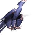 8.jpg BIRD RIGGED RAPTOR FILE FBX 3MF STL OBJ 3D PRINTING - DINOSAUR HORSE WINGS PREDATOR EAGLE