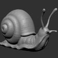 SNAIL-1.jpg Snail 3D printable model