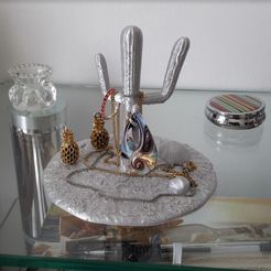 Proof000.jpg Cactus, jewelry support, display stand