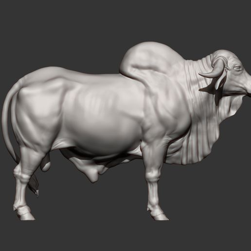 Gyr-Bull13.jpg Gyr Bull 3D print model