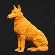 1617-Belgian_Shepherd_Dog_Laekenois_Pose_05.jpg Belgian Shepherd Dog Laekenois Dog 3D Print Model Pose 05