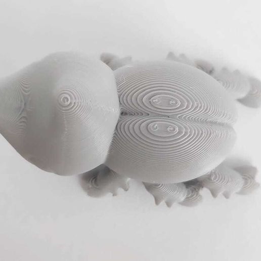 Bettle 9.jpeg Mignon scarabée