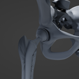 h3.png STL file Hip Replacement model・3D printing design to download