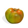 0.jpg TOMATO FRUIT VEGETABLE FOOD 3D MODEL - 3D PRINTING - OBJ - FBX - 3D PROJECT TOMATO FRUIT VEGETABLE FOOD TOMATO