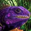 PurpleEguana
