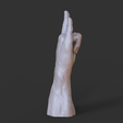 009.png Male Hand Pose - Gesture - 12