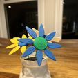 IMG_1095.jpeg Filament Flower - Giftable, Modular Spring Flower Kit