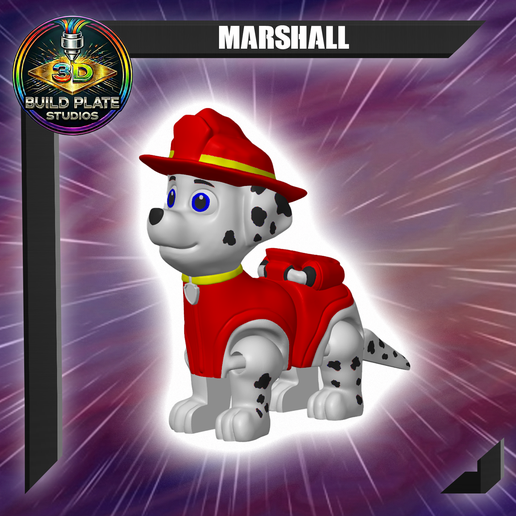 Paw Marshall Multicolor Flexi Print-In-Place