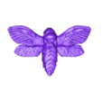 deathmothopenwingsflatintheback.stl Death's Head Hawk Moth