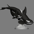 05.png Orca and Calf