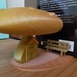 20190616_134544.jpg mushroom "miniature house" and/or "bookend" mushroom