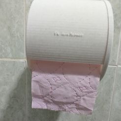 1713113810470.jpg toilet paper roll holder