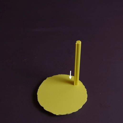 08.jpg Ananas en tranches