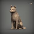 Australian-Cattle-Dog-sitting1.jpg Australian Cattle Dog Sitting Pose STL 3D print model