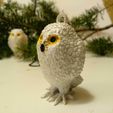 IMG_20231120_171454.jpg Christmas bauble Owl