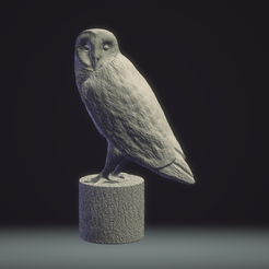 Owl2.png Schleiereule stehend