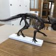 20220506_174712536_iOS.jpeg STL file Skeleton of baby Triceratops Part06/07・3D printable design to download