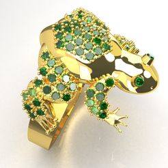 untitledrana-1.103.jpg ANNEAU DE GRENOUILLE