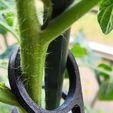 Clips.jpg Support pour plantes