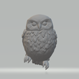 1.png Little Owl 3D Model 3D print model