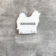 46-HAVANESE-hook-with-name.png Havanese Dog Lead Hook