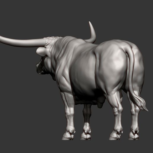 Texas-Longhorn10.jpg Texas Longhorn 3D-Druckmodell