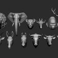 14.jpg 13 animal Heads