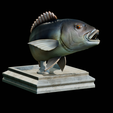 Dentex-trophy-6.png fish Common dentex / dentex dentex trophy statue detailed texture for 3d printing