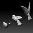 6546.jpg birds tit bullfinch Sparrow nightingale