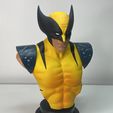 IMG_0056.jpg Wolverine